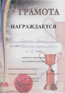 Настольный теннис. Ефимов Ефим.