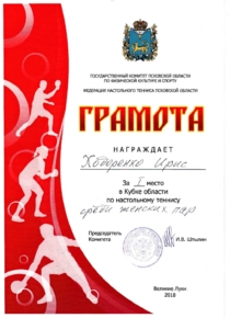 Настольный теннис. Ходоренко Ирис.