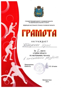Настольный теннис. Ходоренко Ирис.